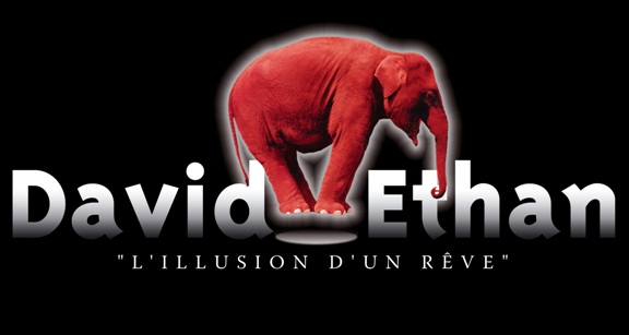 Logo David Ethan