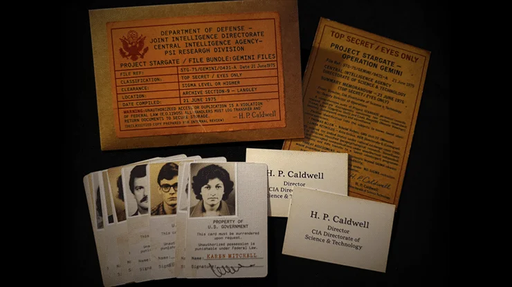 Gemini Files