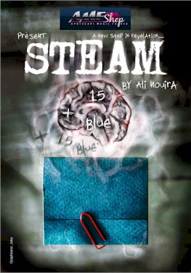 Steam